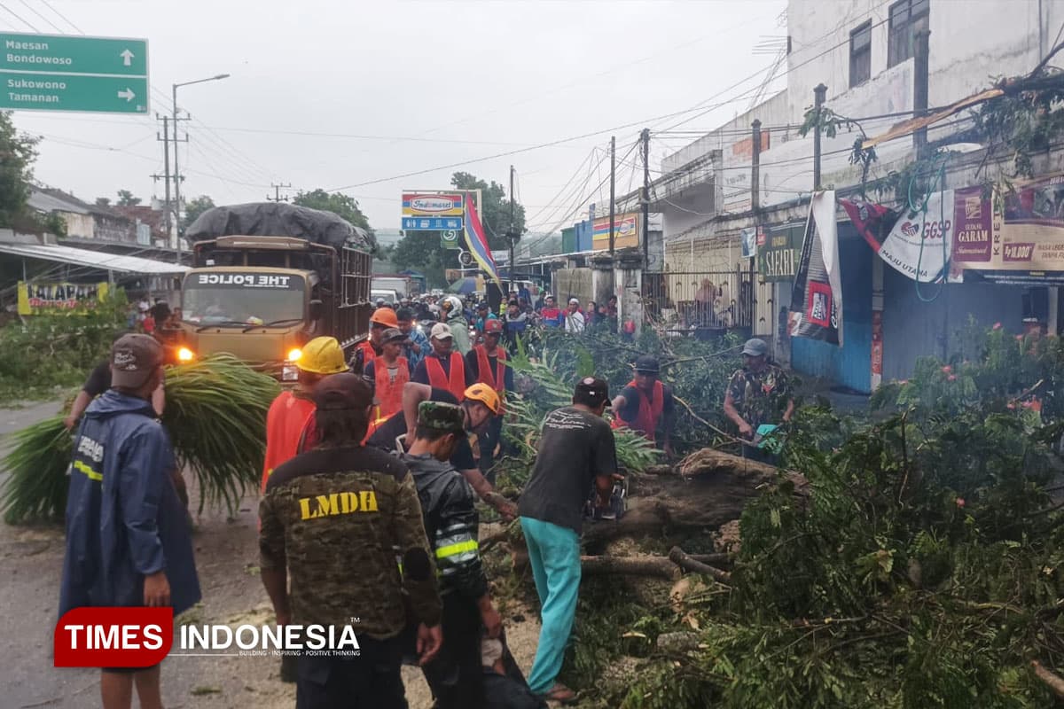 Sempat Lumpuh, BPBD Jember Pulihkan Jalur Nasional Jember-Bondowoso Pasca Cuaca Ekstrem